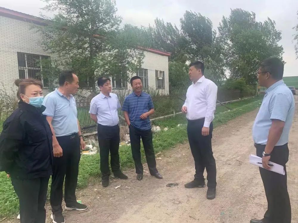 道里区委副书记,区长董继文深入镇村屯视察农村垃圾整治工作