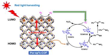 武汉大学郎贤军课题组共价有机框架光催化研究取得进展