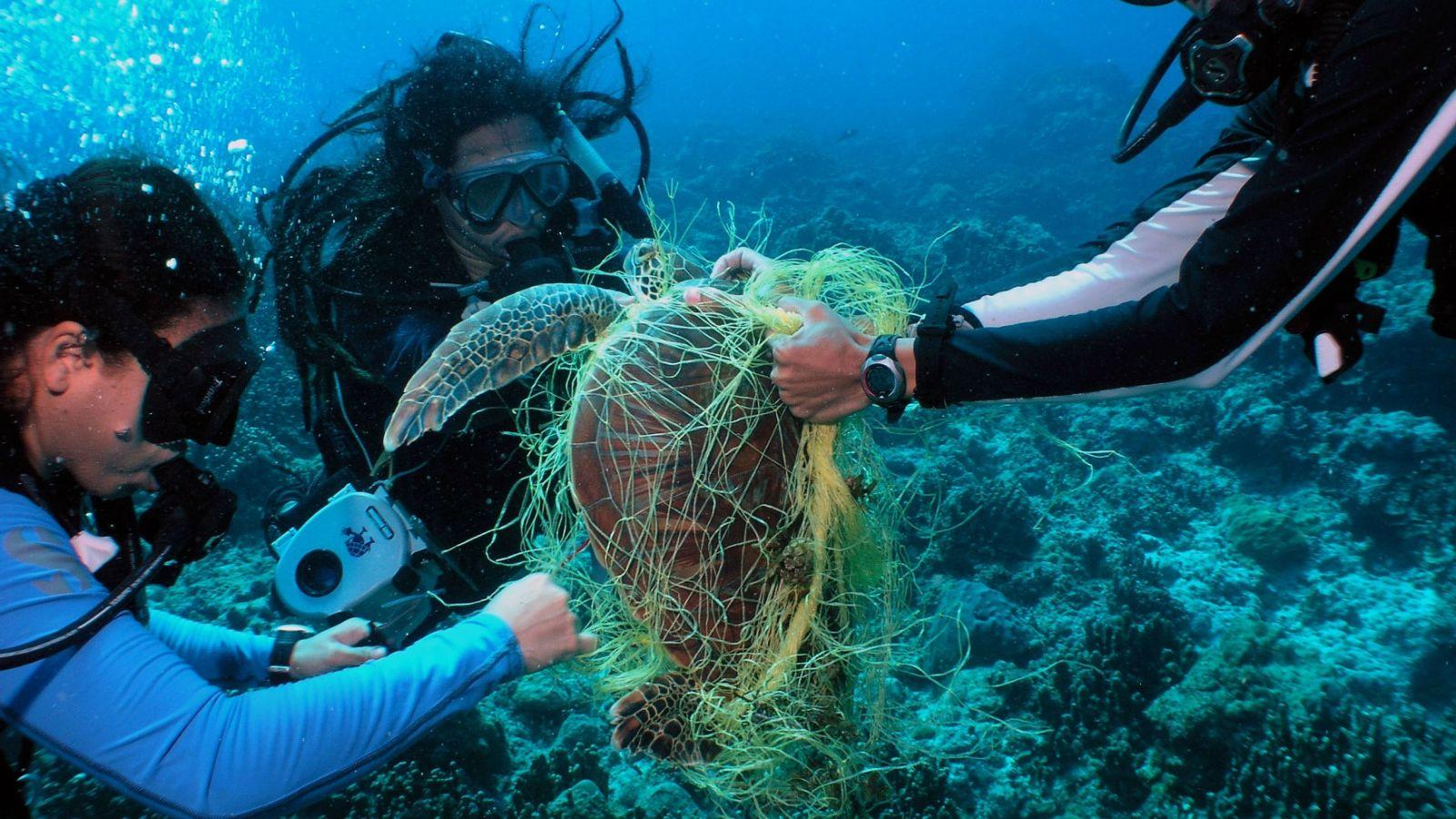 庞然大物逼近我国,海洋安全迫在眉睫,或引发蝴蝶效应