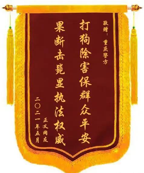 打狗英雄击毙重庆德牧壮壮流浪犬,这锦旗代表了多数网友们的心意