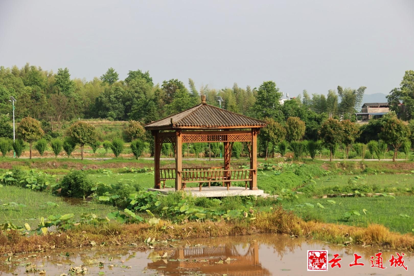 通城峡山图片