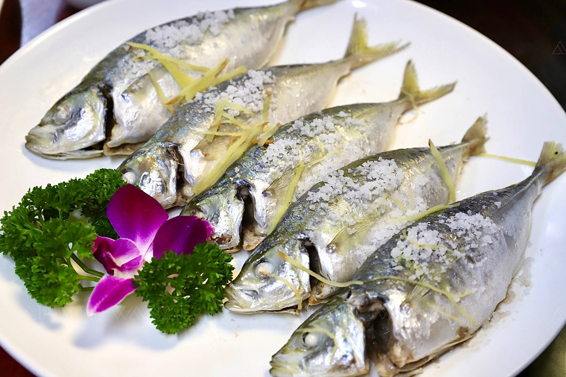 镶金又包银的养殖巴浪鱼,在厦门八市这家海鲜加工店也能吃到