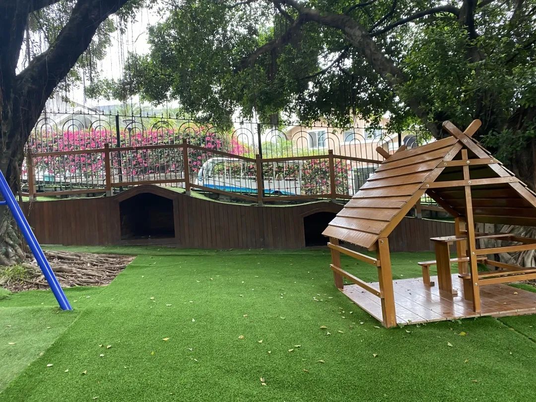 深圳蛇口热门国际幼儿园贝赛思蛇口国际维多利亚等选哪个