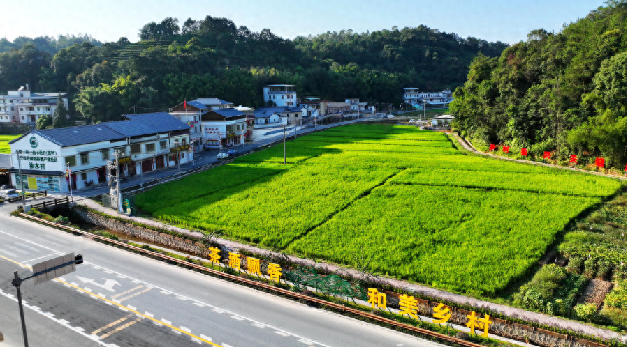 普宁市南径镇碧屿村图片