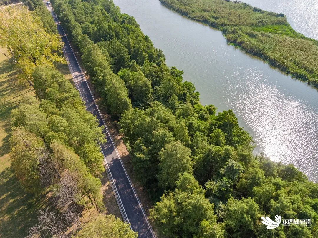 粉粉哒,少女心要炸!径河公园二期建成