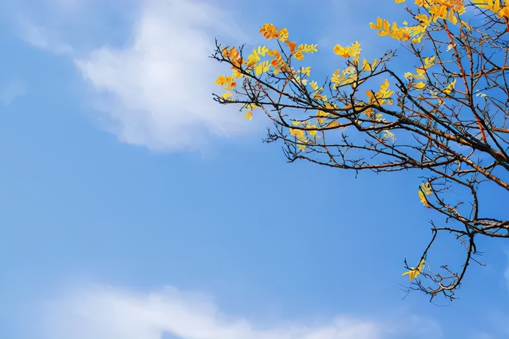 艳阳高照!为何多个地区出现高温异常天气?降温的日子还来吗?