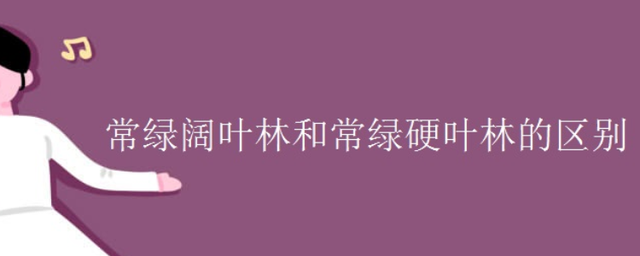 常绿阔叶林 硬叶林图片