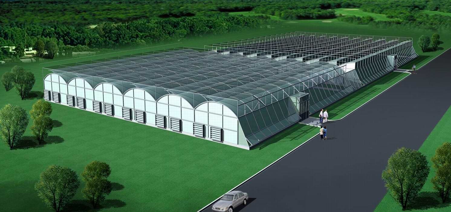 连栋大棚标准规格