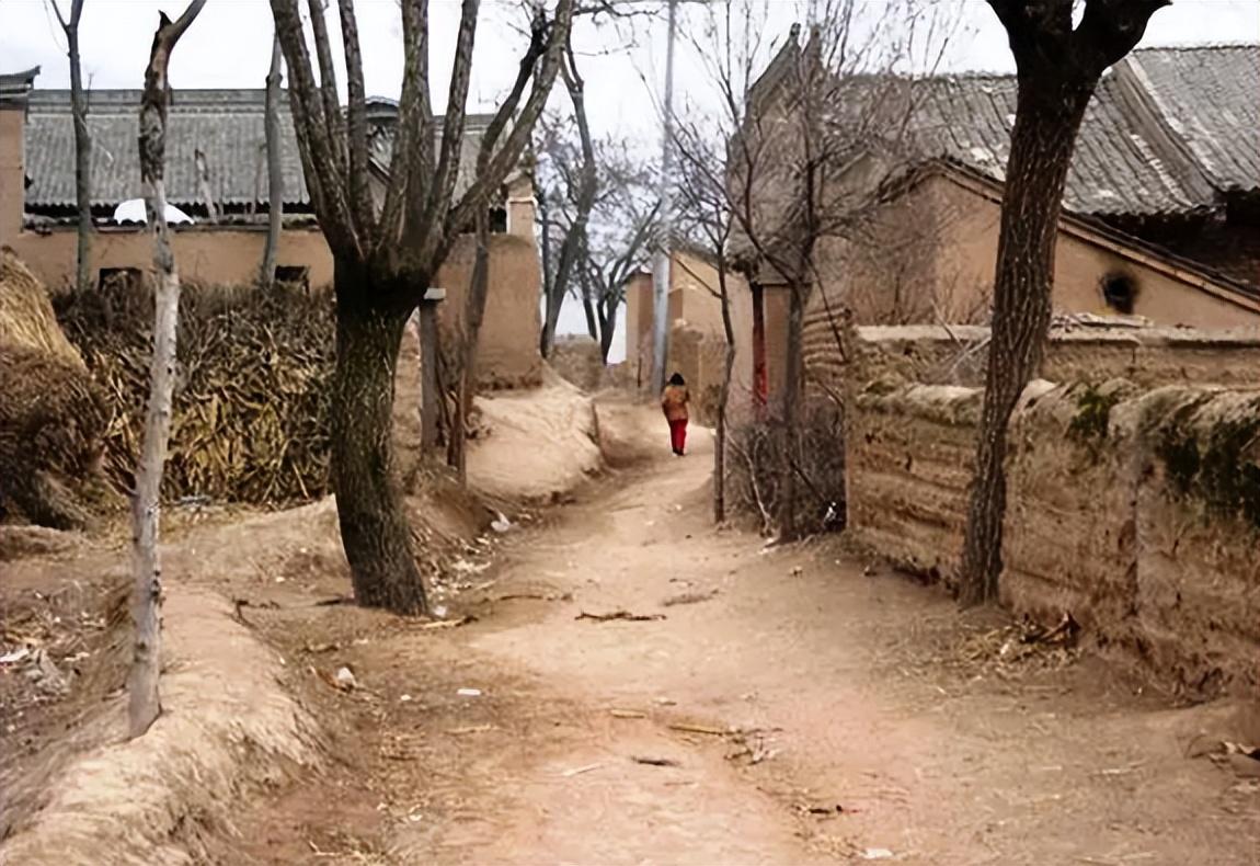 回顾林青霞与亲姐在河南相认,对方一贫如洗,她有没有帮帮姐姐?