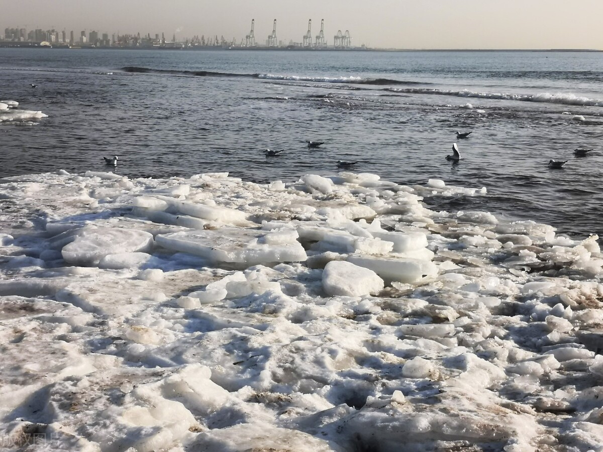 河北秦皇岛海滨结满厚厚的海冰,冬至后气温骤降