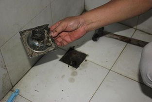 洗衣机地漏反味比马桶还臭?原因被很多人忽视了