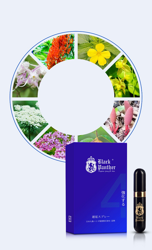 关于日本黑豹4.0,这些你需要知道