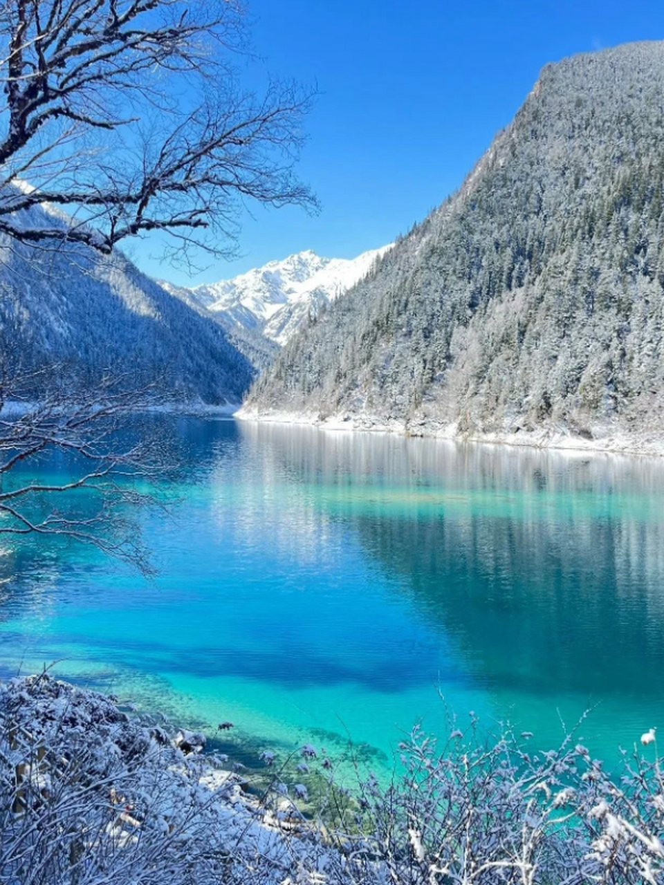 邂逅九寨沟的最后风景 我们在十一月前往九寨沟,此时天气已经开始转冷