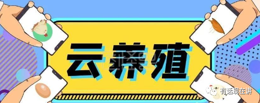 揭秘"云养殖"骗局:小心陷入集资陷阱!