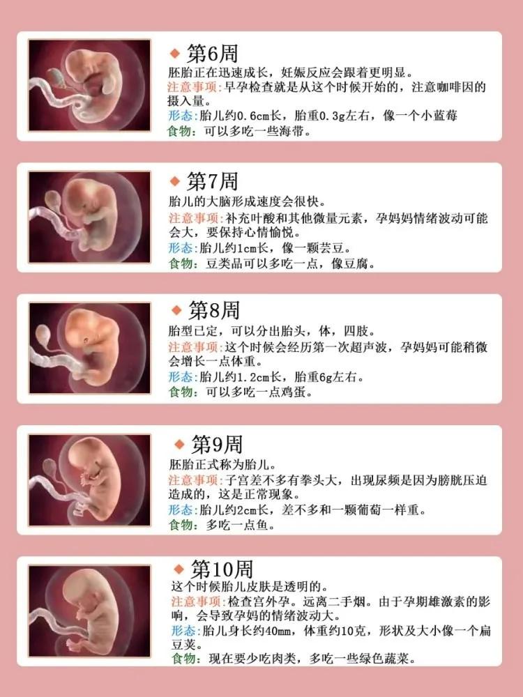 怀孕40周胎儿发育全过程,需补充哪些营养物质?一组图解读