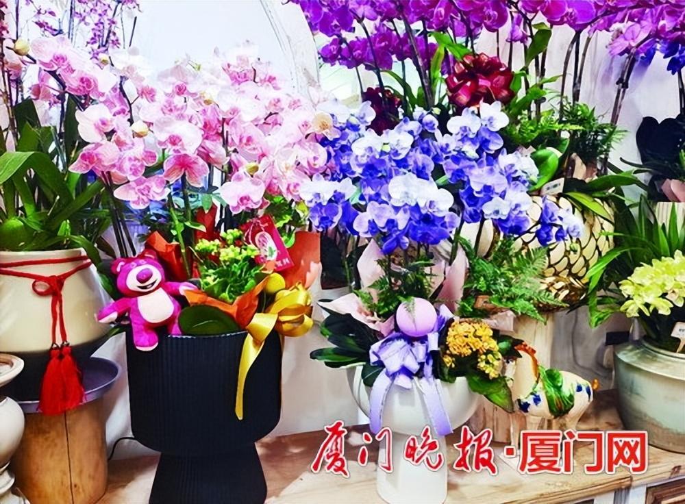 厦门鲜花市场(厦门鲜花市场有几个有哪几个)