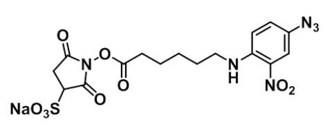 102568-43-4,磺基三环芳烃交联剂,sulfo-sanpah crosslinker