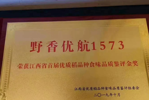 灾年考验显本色,野香优航1573被评为湖南"明星"品种