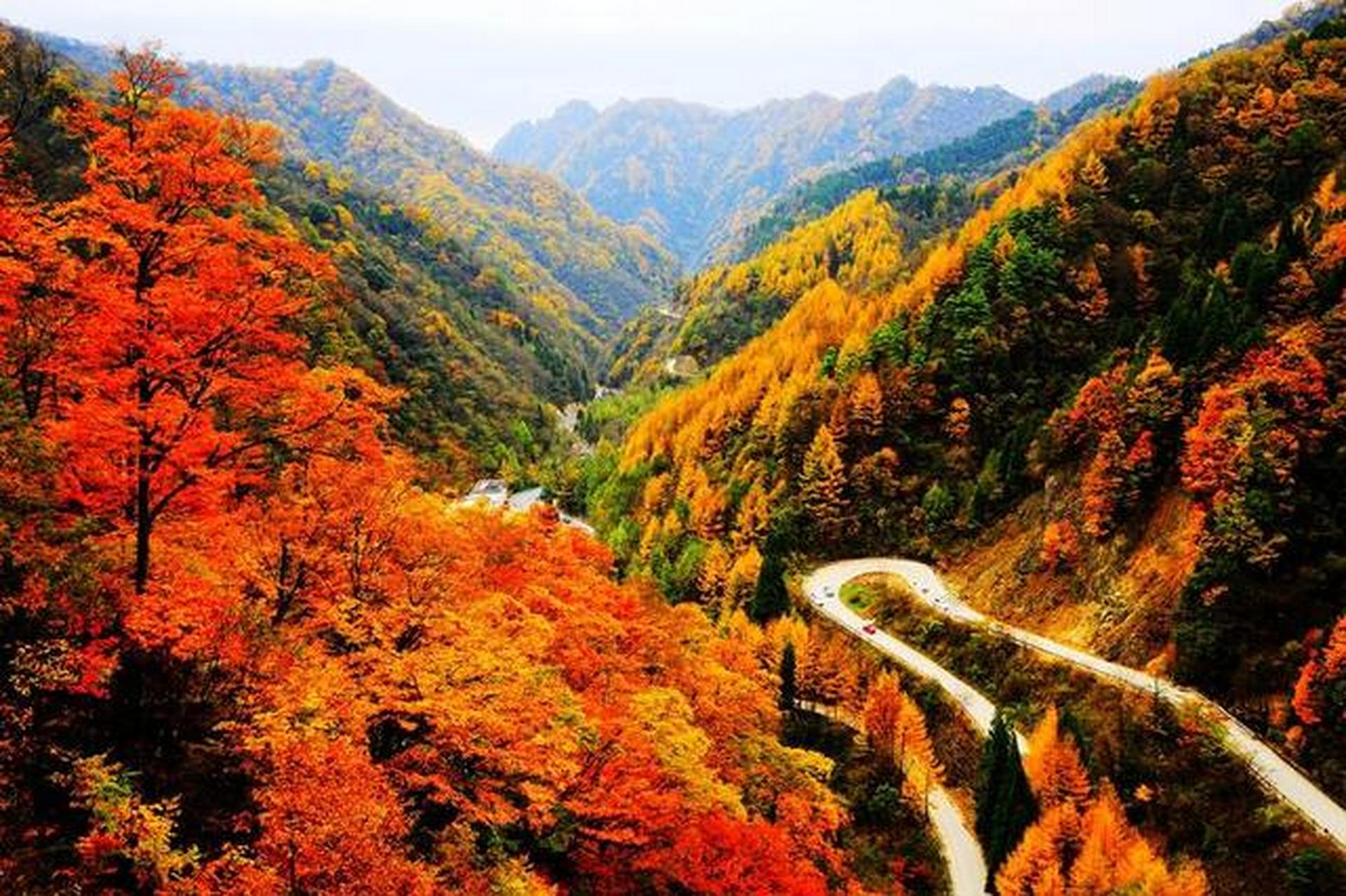 光雾山景区包括米仓山,十八月潭,光雾山等区域.