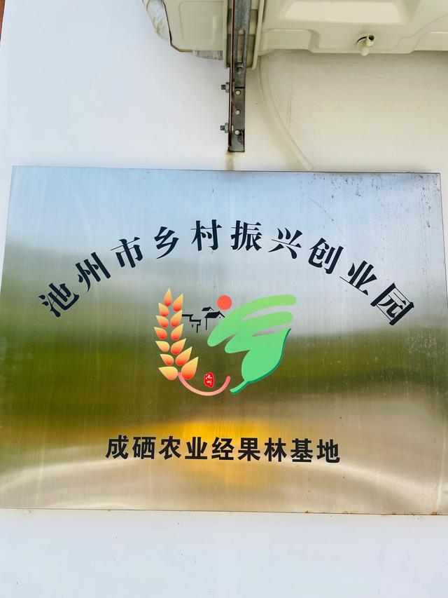 池州石台小河镇,特色生态农业助力乡村振兴 点赞!