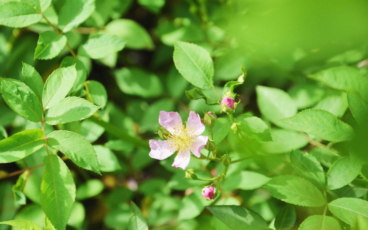 夏沫纪言深 夏沫纪言深>夏沫纪言深 夏沫纪言深>小说全文在线阅读