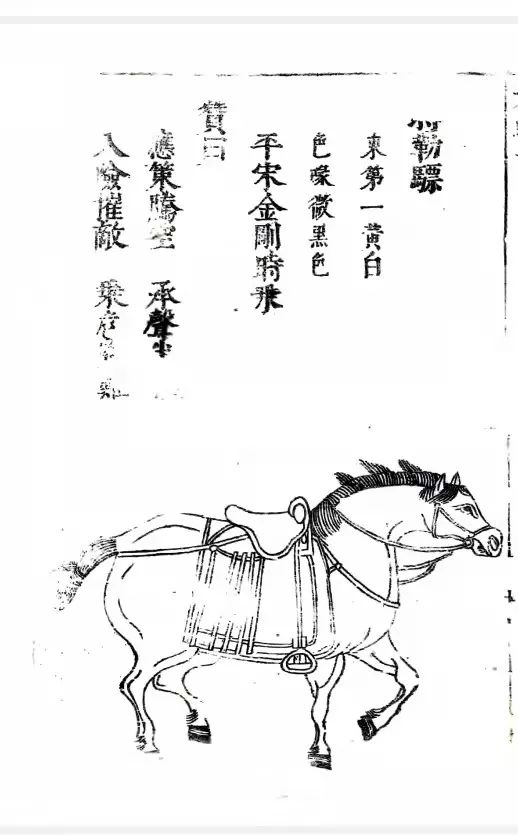 美育系列之昭陵六骏