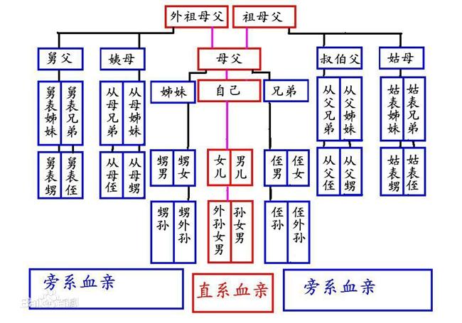 贾宝玉亲戚关系图图片