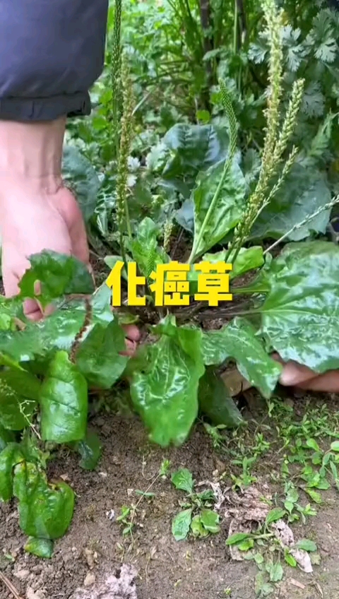 遇到不要怕,有问题我来帮你