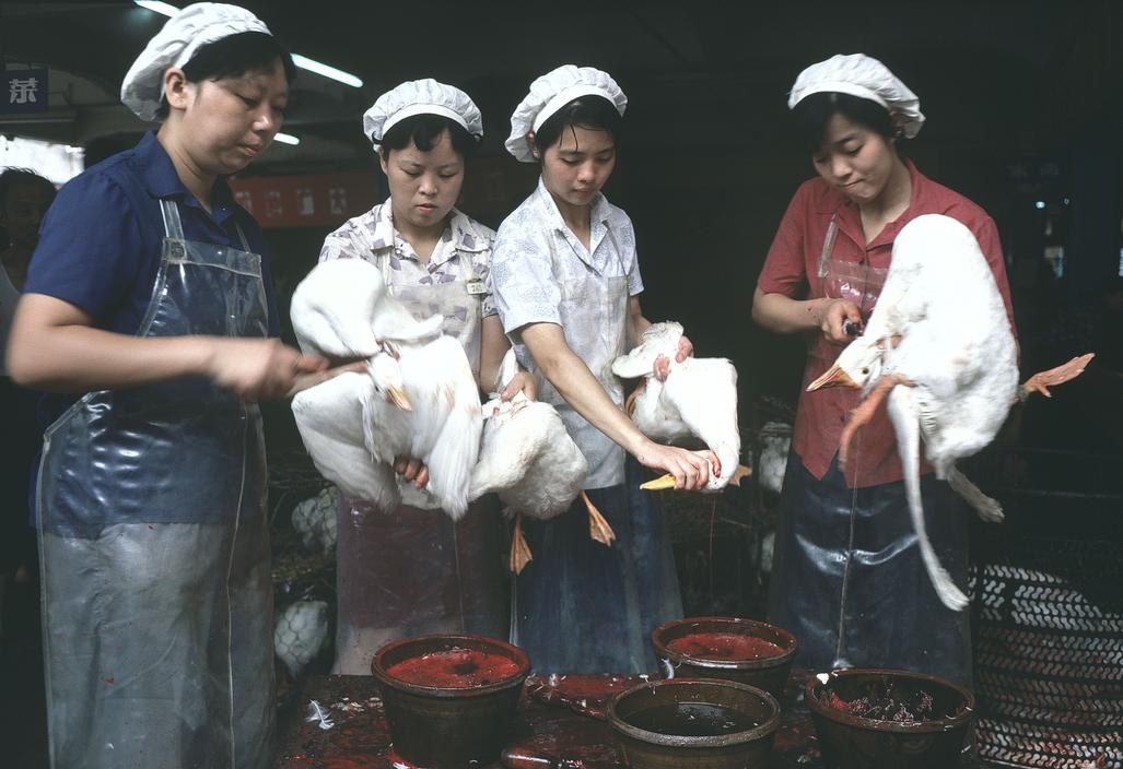 1981年北京老照片:天安门的夜景,海南的一个港口,西藏大昭寺