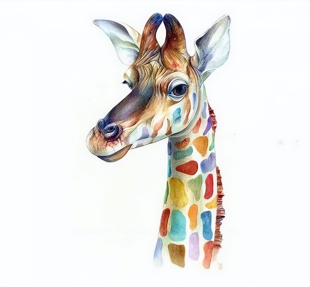 色彩绚丽的精美动物水彩写实作品︱艺术名画