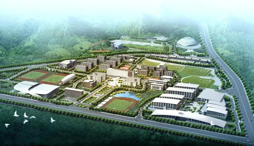 招生季 | 山东体育学院"拍了拍"你 招生简章了解一下