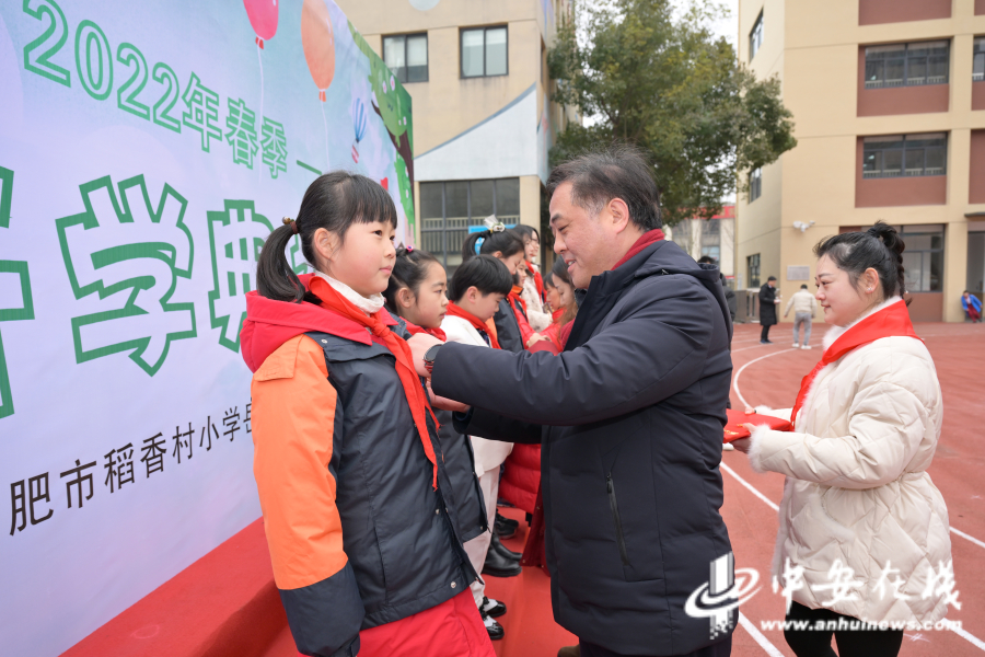 合肥市稻香村小学图片