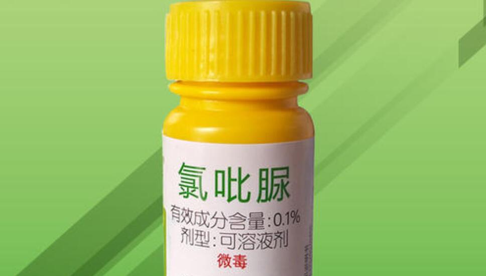 赤霉氯吡脲为啥膨大效果好咱们从成分中找原因一点就透