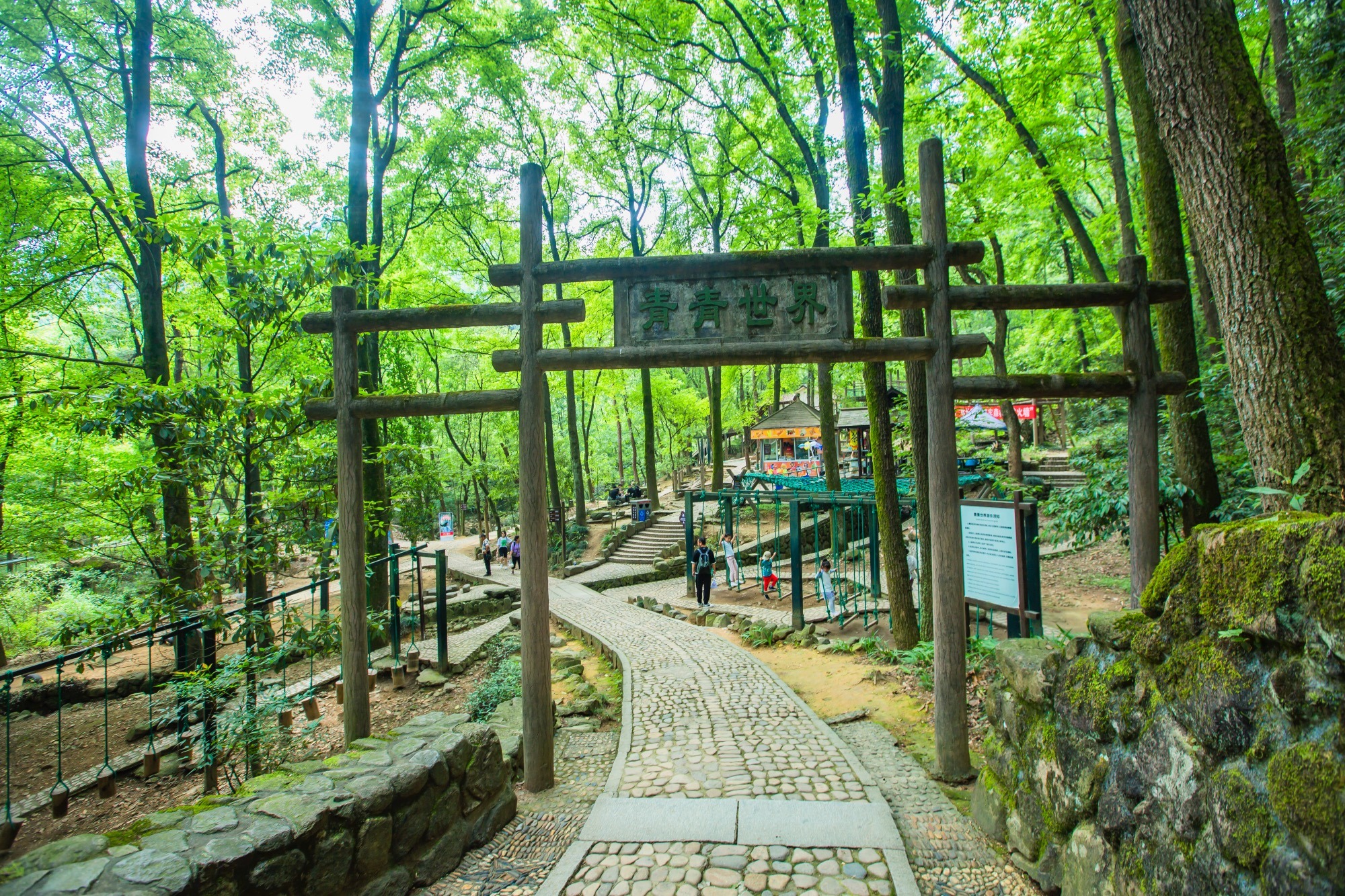 桐庐大奇山国家森林公园,杭州的小九寨,是夏季避暑休闲的好去处