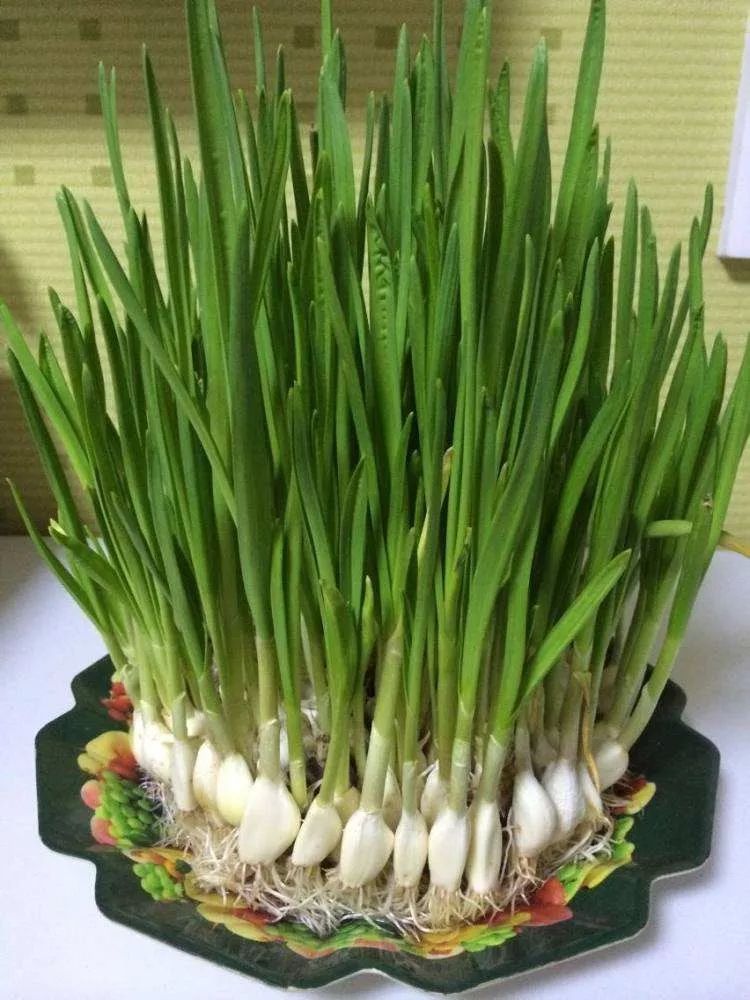 它撑起了北京吃食界的半边天!是饭桌上的必需品,吃饺子一定有它