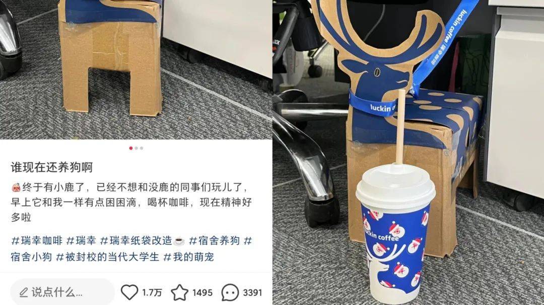 爆文预定:“纸箱狗”风靡小红书,教你追热点的正确姿势