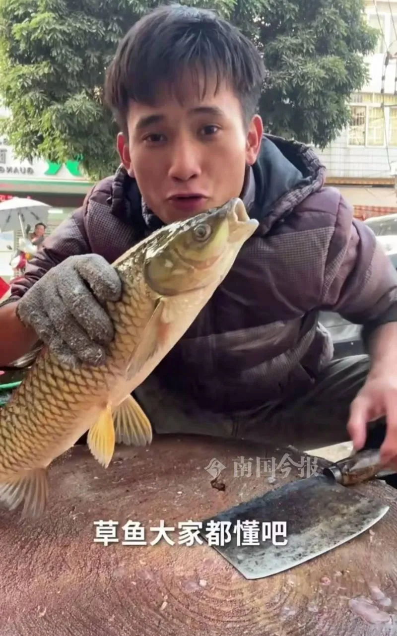广西小伙凭卖鱼绝技在快手赚生活费,百万老铁狂赞:高手在民间!