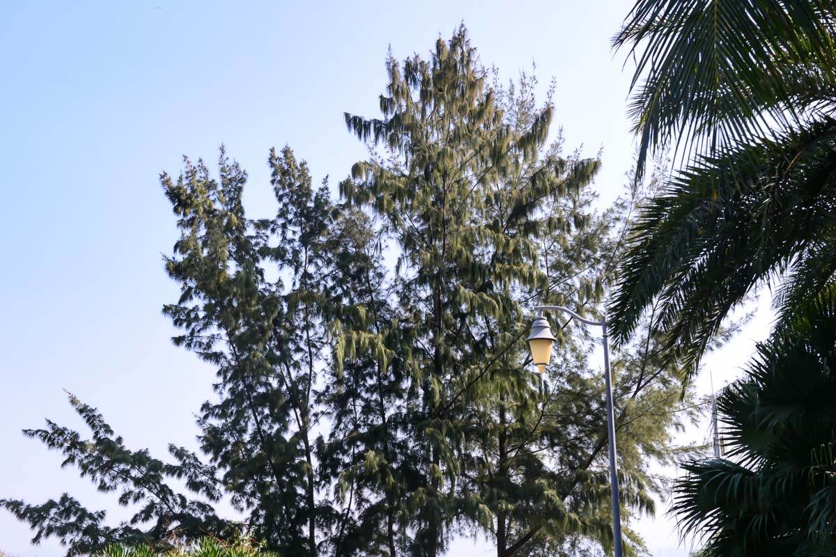 百克龙e3000户外电源,三度电能做些什么?