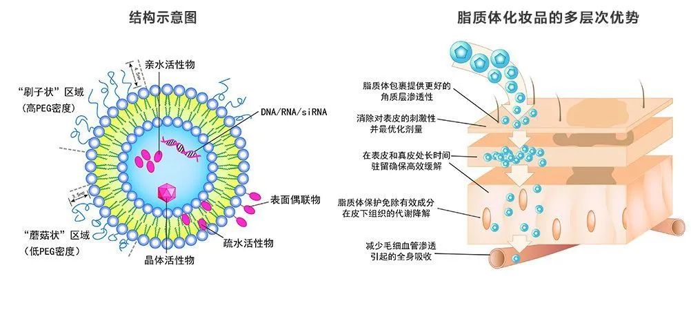 乳化示意图图片