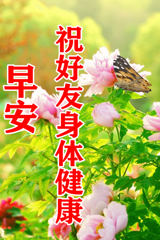 2021年3月3日正月二十周三最新早安问候语动态表情图片问候语录
