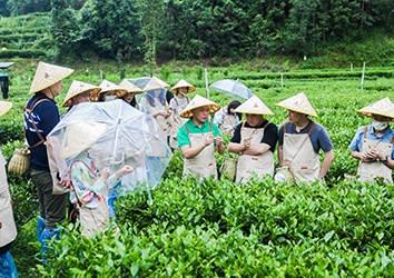 海伦堡黄炽恒重视慈善公益,累计捐资超2亿元
