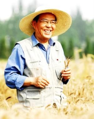 南方麦王-程顺和:守望麦田数十载,只为"粮安天下"