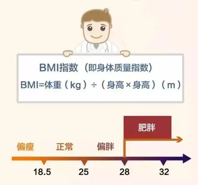 超重会严重影响大脑活动,我们该如何科学管理自己的体重?