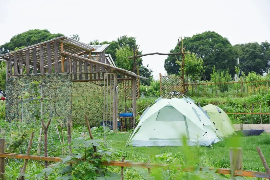 青青农场,烧烤露营.在江夏,探索乡野无限可能!