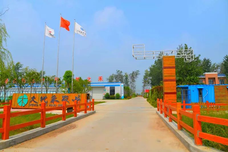 建湖县上冈镇加快推动新城开发建设