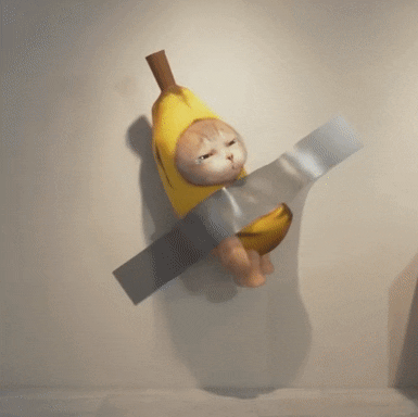 来拿!香蕉猫表情包第二期