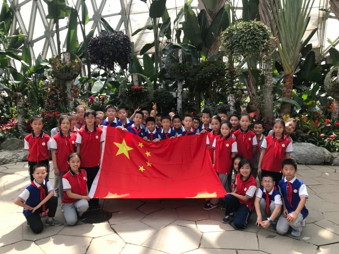 一路开挂!江川路小学这位"红领巾"摘得全市桂冠