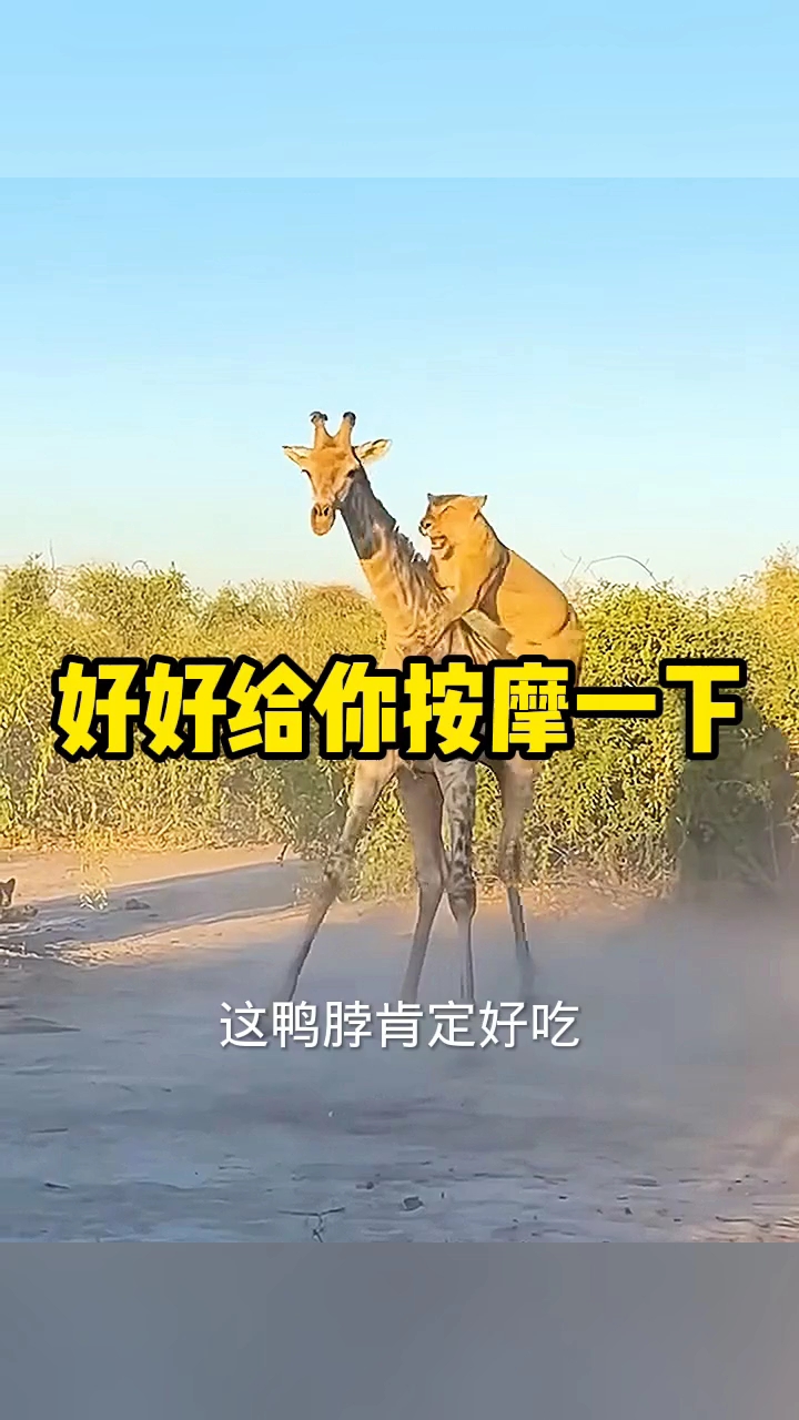 好好给你按摩一下!哈哈哈!