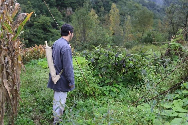 終南山修行者全跑光了!房費太貴,這些隱居者什麼來頭?