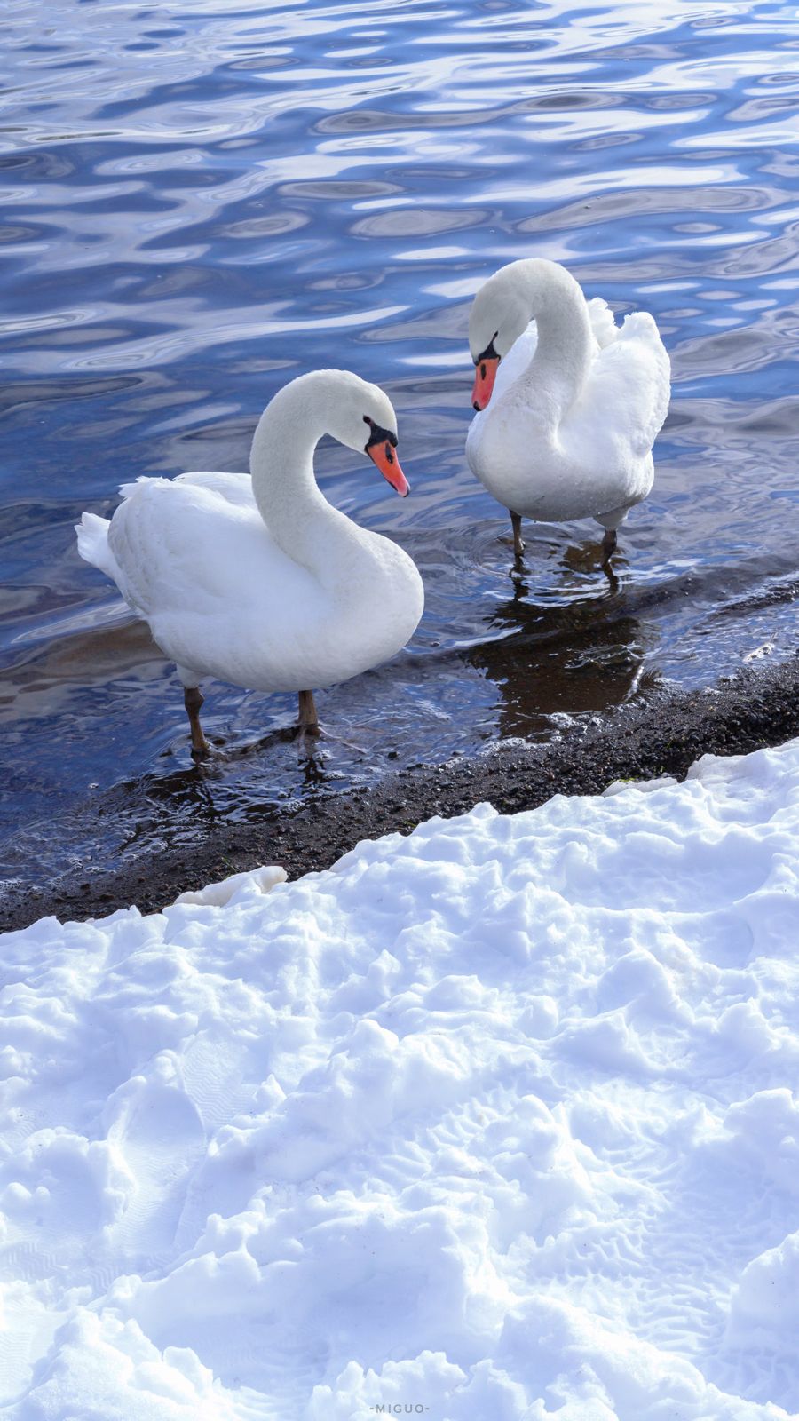 「壁纸分享」冬日雪景精美壁纸